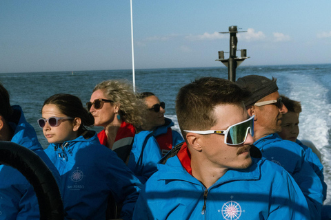 Saint-Malo: Sea walk & discovery of the Bay Saint-Malo: A boat ride in the Bay