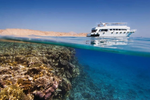 Sharm El Sheikh: Mega Safari Duinen & Golven Avontuur met lunchSharm El Sheikh: Mega Safari Zee en Duinen Avontuur w lunch