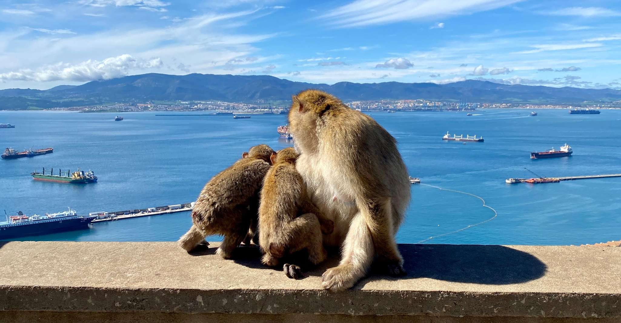 Da Malaga, gita di giorno a Gibilterra - Housity