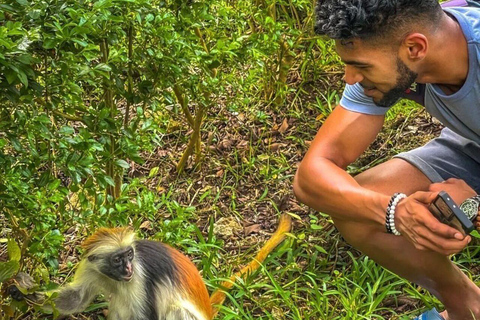 Zanzibar: wycieczka do lasu JozaniWycieczka prywatna bez transportu z/do hotelu, wszystkie bilety wstępu w cenie