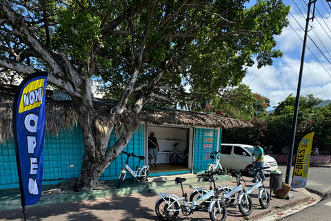 1 hora de aluguer de bicicletas eléctricas