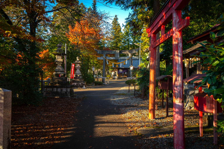 De Quioto: Viagem de 1 dia ao Lago Biwa e Omi Hachiman com almoçoDe Kyoto: Viagem de 1 dia ao Lago Biwa e Omi Hachiman com almoço