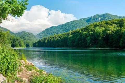 Montenegro: Biogradska Gora National Park Day Trip
