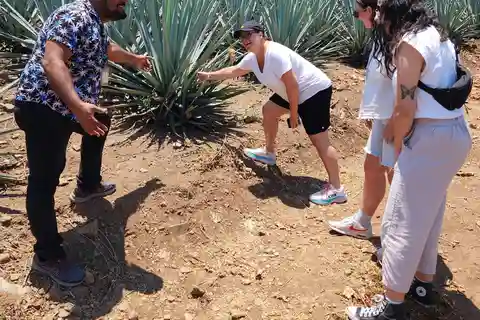 San Sebastian del Oeste: Tequila Tasting and Coffee Tour
