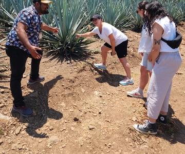 San Sebastián del Oeste: Degustação de tequila e tour do café