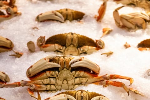 Seattle: Seafood Tour with Market Visit