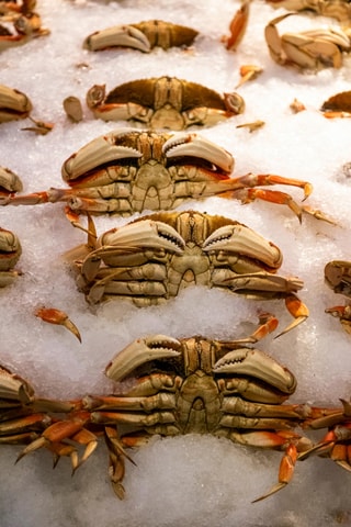 Seattle: Seafood Tour with Market Visit