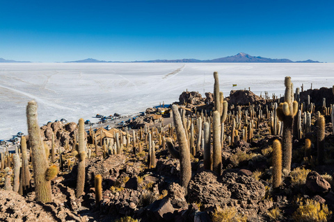 Uyuni Sal Flat: Uyuni - Atacama 3 dagen | Privé | Hotel