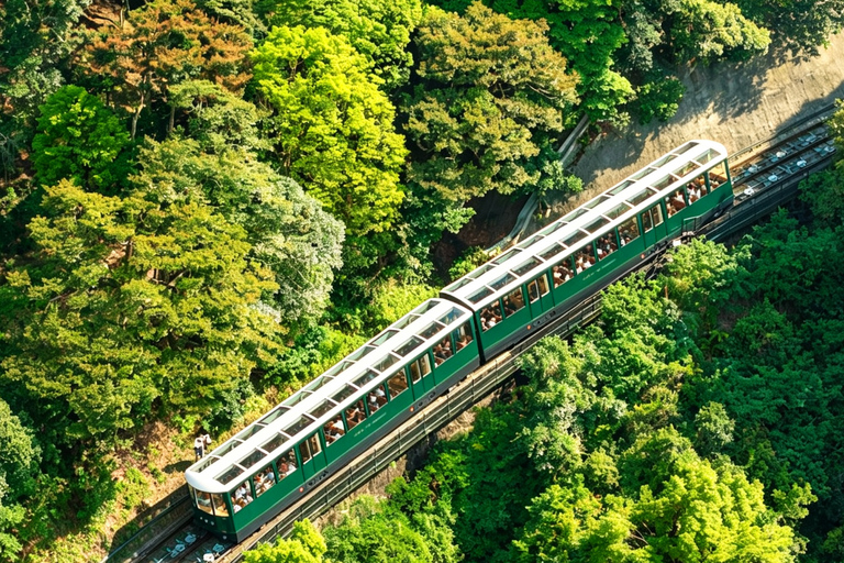 Hong Kong: Peak Tram with Optional Sky Terrace Access One-Way Peak Tram Ticket
