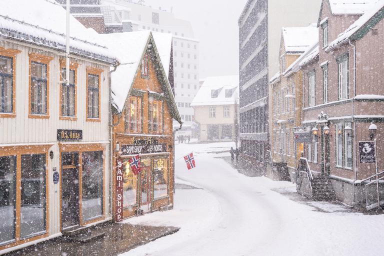 Tromsø : visite en anglais de la vieille ville et du musée polaire