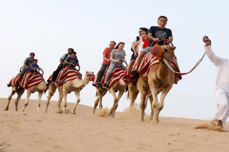 Safari a Doha con giro in cammello, sandboarding e falchiSafari a Doha con giro in cammello Sanboarding e falchi