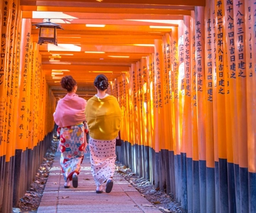 From Kyoto: Day-Trip to Fushimi Inari, Nara Park, and Osaka
