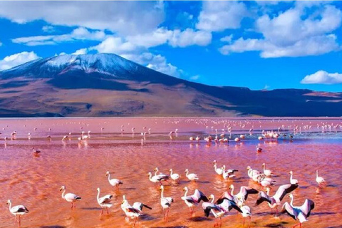 Classic Uyuni Salt Flats Tour 2 Nights and 3 Days
