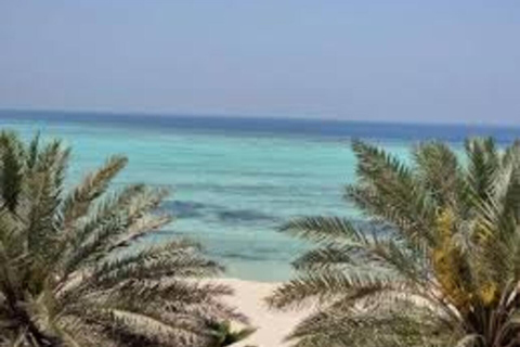 From Jeddah: King Abdullah Economic City Day Trip