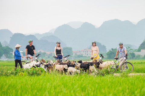 Hanoi: 2D 1N_ Ha long 1 dag &amp; Ninh Binh heldag och bungalow