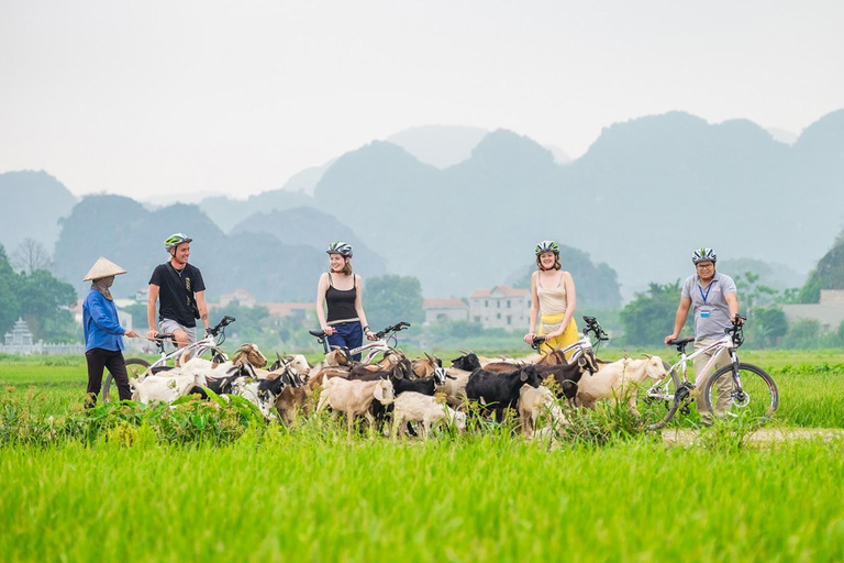 Hanoi: 2D 1N_ Ha long 1 dag &amp; Ninh Binh heldag och bungalow