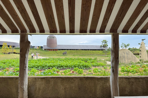 From Kyoto: Lake Biwa & Omi Hachiman Private Day Trip