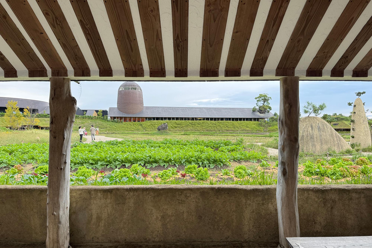 From Kyoto: Lake Biwa & Omi Hachiman Private Day Trip