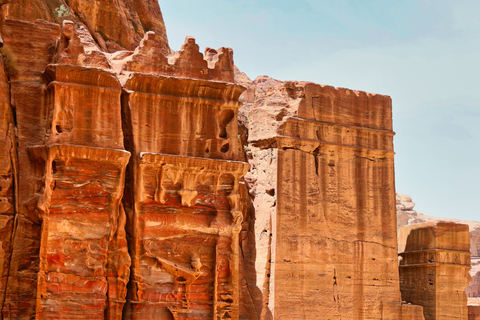 Aqaba: Petra & Wadi Rum Private Tour with Dinner one day