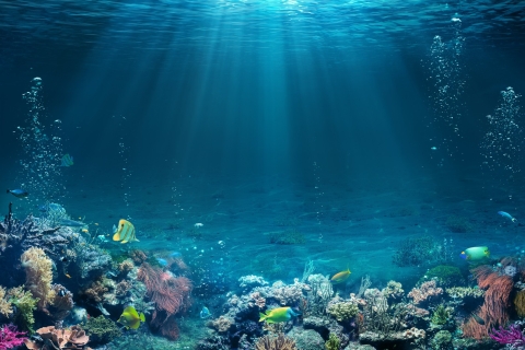 Dubaï : initiation à la plongée sous-marine