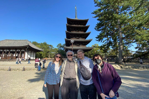 From Kyoto/Osaka: Nara Private Tour with Guide and Vehicle Minivan (Up to 4 PAX) from Osaka