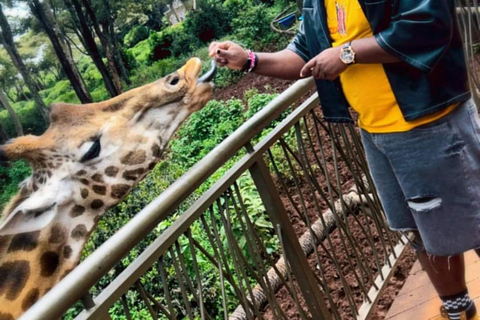 Nairobi:PRIVATE Tour zum Nationalpark, Elefant und Giraffe