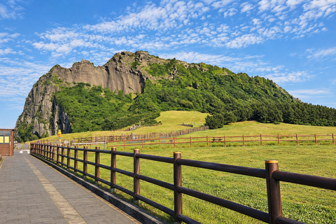 Jeju: Cruise Shore Excursion with Guaranteed Return Gangjeong Port: Tea Fields, Sanbangsan & Gardens