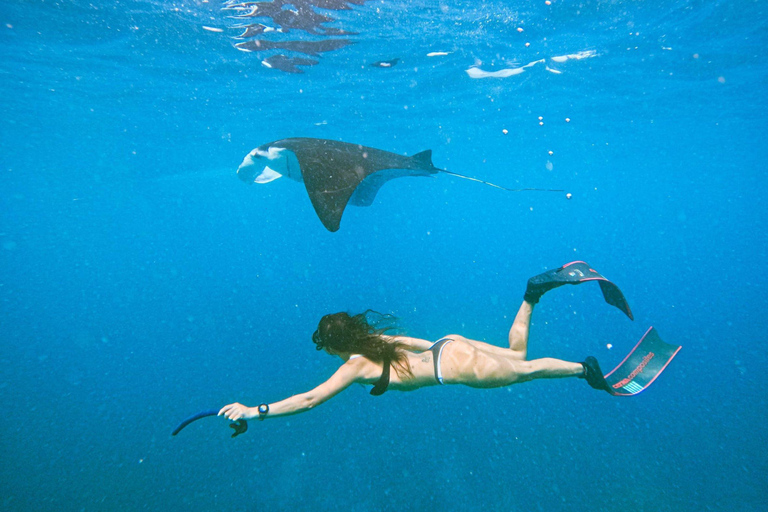 Nusa Penida Land Tour & Snorkeling Option with Photo From Penida- Snorkeling and West Penida