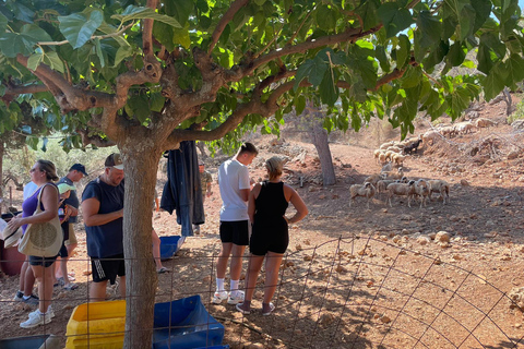 Gebiet Chania: Kochkurs auf einem Bauernhof im Dorf StylosKochkurs mit traditionellen Gerichten und biologischen Lebensmitteln