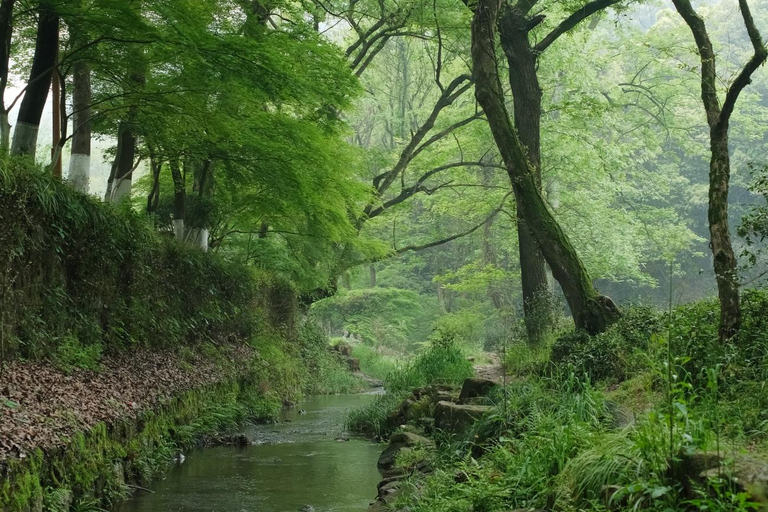 Hangzhou Nine Creeks · Dragon Well Half-Day Hiking Tour