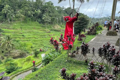 Bali: All-Inclusive Ubud Highlights Tour