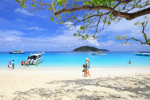 Phuket: Similan Islands Speedboat Tour with Lunch