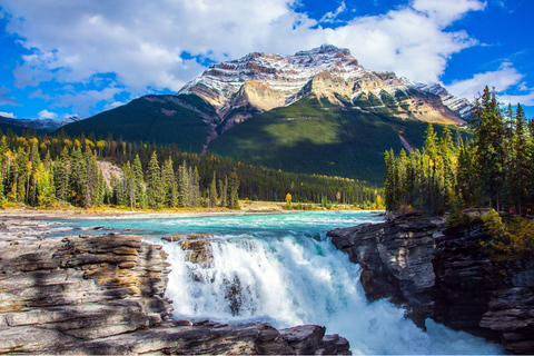 Athabasca Falls/Abraham,Sunwapta Falls, Icefield, Peyto Lake