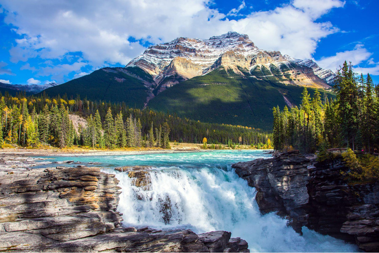 Athabasca Falls/Abraham,Sunwapta Falls, Icefield, Peyto Lake