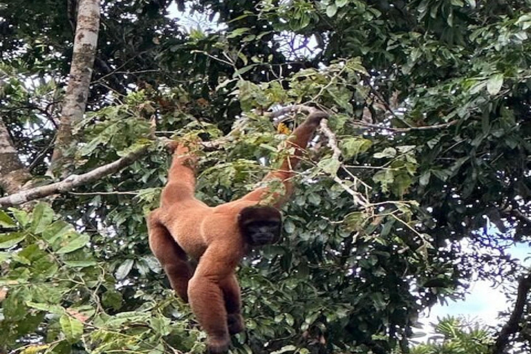 Iquitos: Curso de sobrevivência com habilidades extremas de 7 diasIquitos: curso de sobrevivência de 7 dias com habilidades extremas e refeições