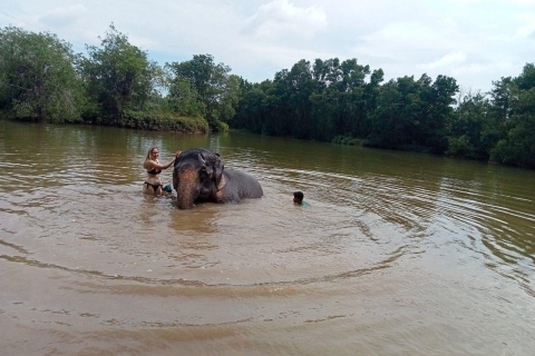 Phuket : Guide écologique : promenade guidée dans un sanctuaire d'éléphants éthiquePhuket : Visite guidée de la promenade écologique avec d'autres prises en charge à l'hôtel