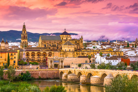Seville: Cordoba Private & Fully Customizable Day Tour