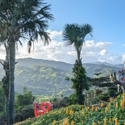 Cebu City with Sirao Garden Half-Day Tour Cebu City with Sirao Garden Half-Day Tour