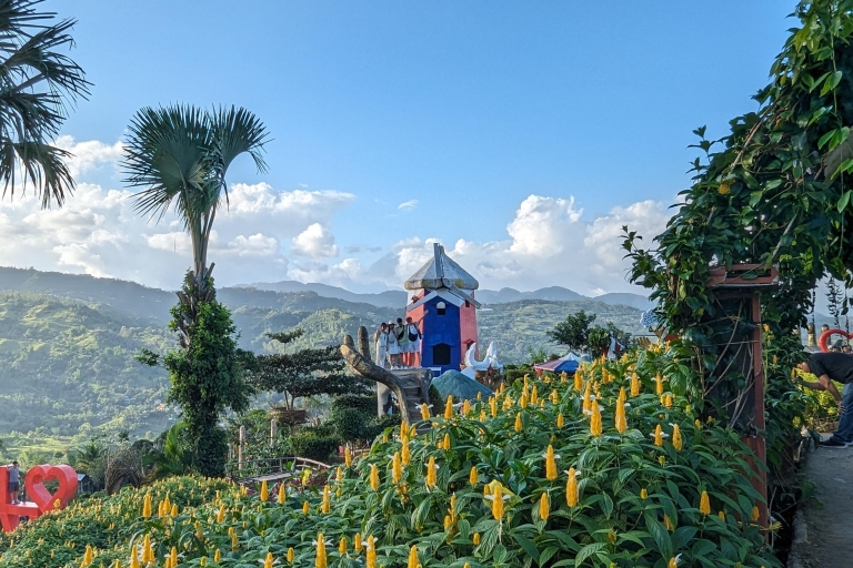 Visita de medio día a Cebú con el Jardín de Sirao