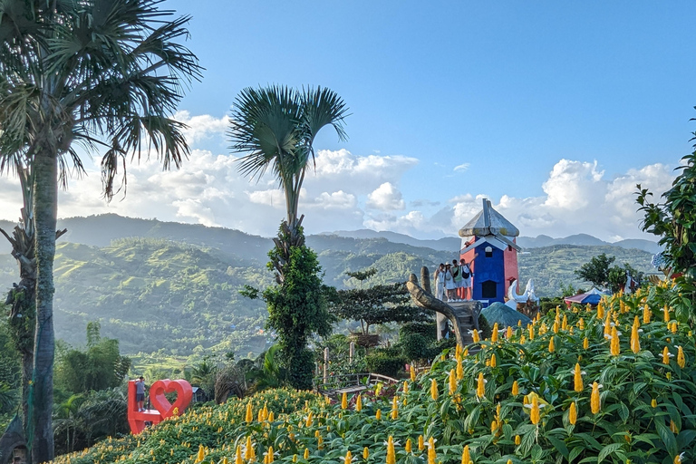 Visite d'une demi-journée de la ville de Cebu et du jardin de Sirao