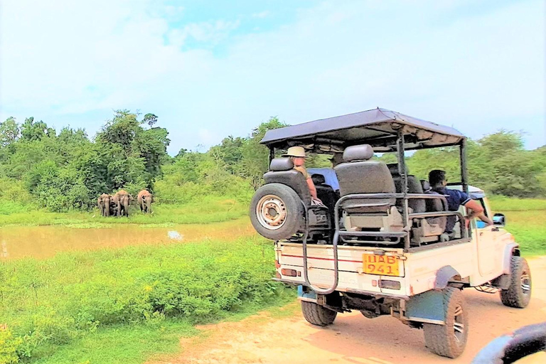 02 dagar - Besök Ella och Udawalawe Safari - Allt inklusive2 dagar - Besök Ella och Udawalawe Safari - Allt inklusive