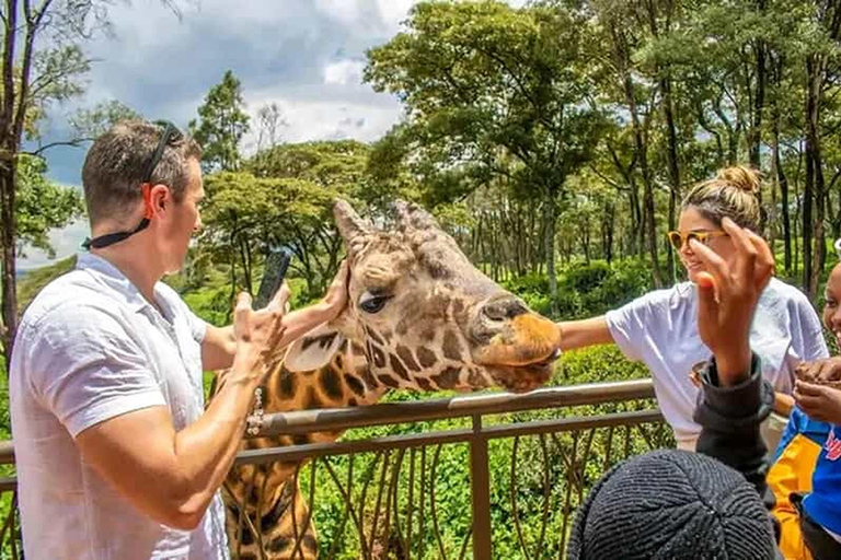 Mombasa: Giraffmatningsupplevelse i Haller Park med bil.