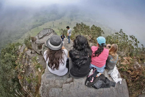 Bogota: Explore the forest and bird watching at Chicaque Natural Park