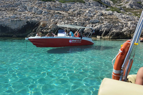 Vanuit Marseille: Iconische rondvaart door de Calanques met snorkelenMiddag rondvaart: Vertrek Vieux-Port