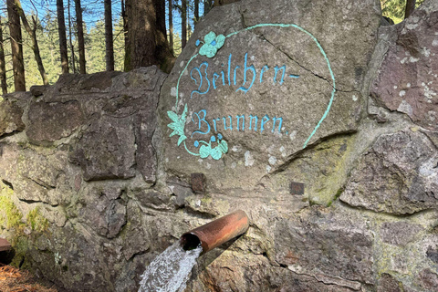 Oberhof: Puzzle hike in the Thuringian Forest