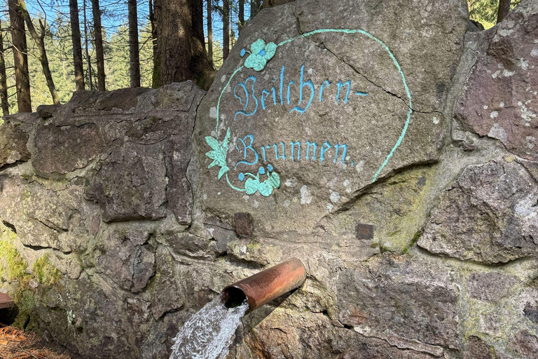 Oberhof: Puzzle hike in the Thuringian Forest