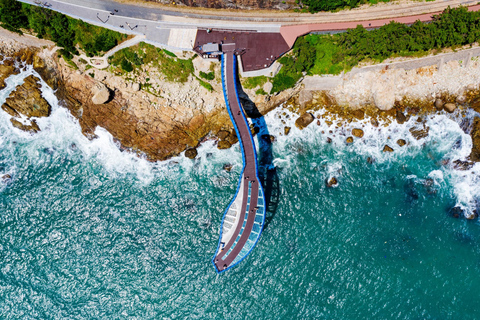 Max Out Busan : visite d&#039;une journée des principales attractions de la villeVisite partagée - Rendez-vous à la gare de Haeundae