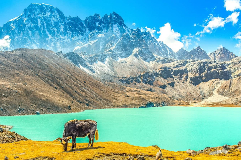 De Katmandou: Trek de 15 jours dans la vallée de Gokyo avec Porter