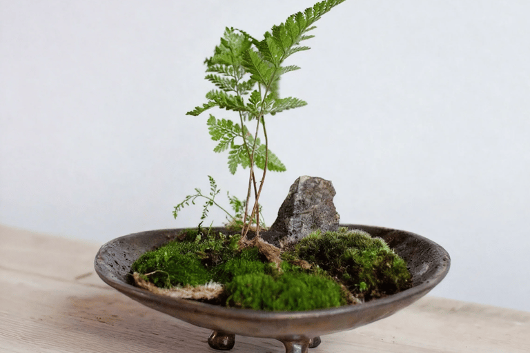 Guangzhou: Mini Landscape Bonsai Making Experience