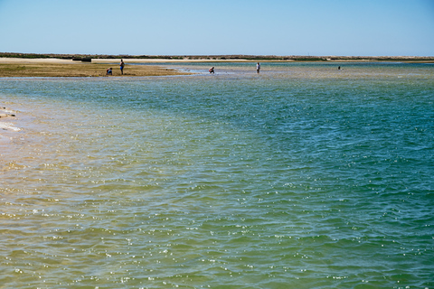 Faro: catamaran-boottocht Deserta Island en Farol Island